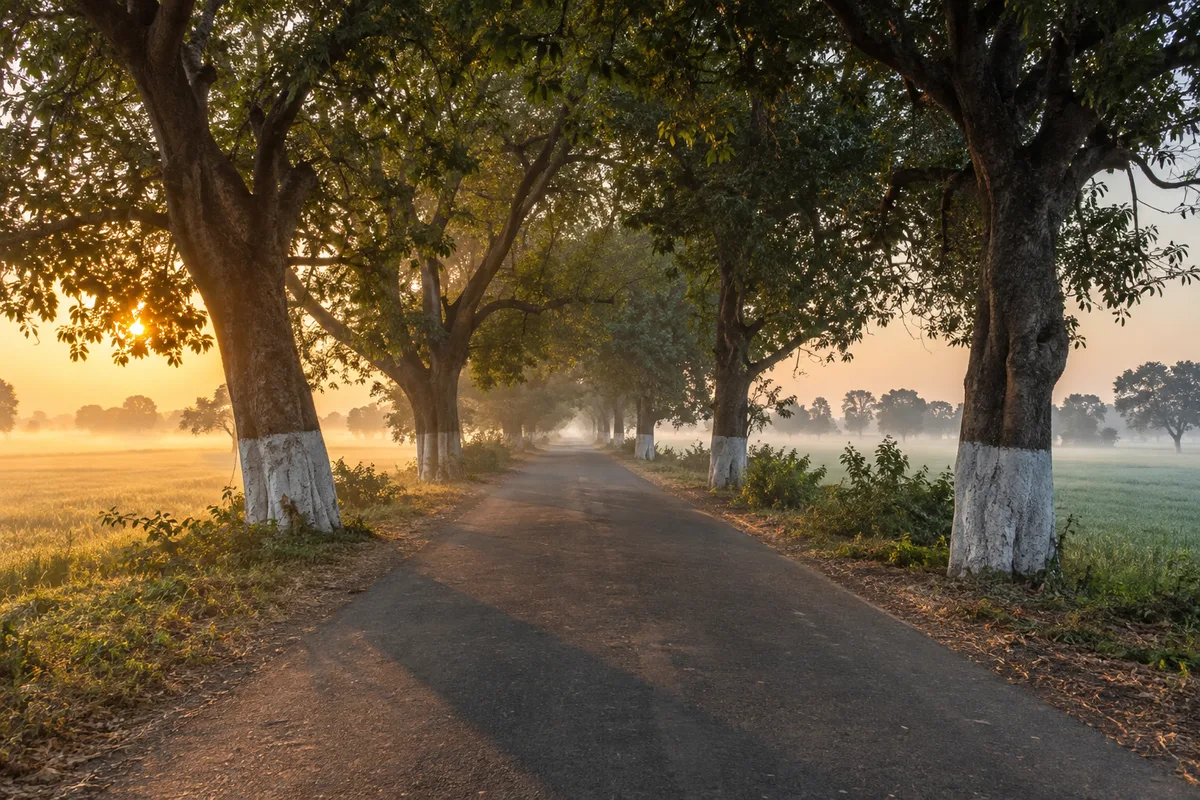 Conduire en Inde : ce qui change et comment s'organiser